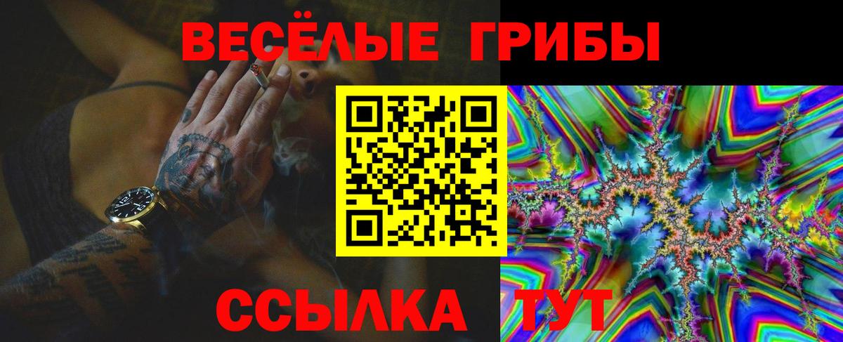 Галлюциногенные грибы Psilocybe  Вход с VPN  Верхний Уфалей  Галлюциногенные грибы Magic Shrooms 