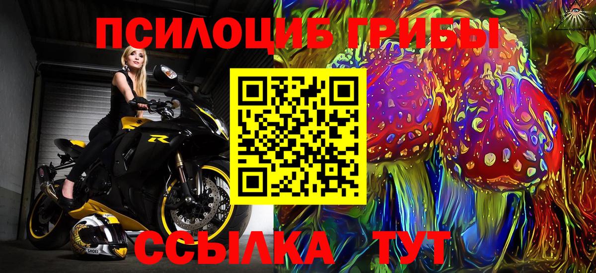 Псилоцибиновые грибы мицелий Верхний Уфалей